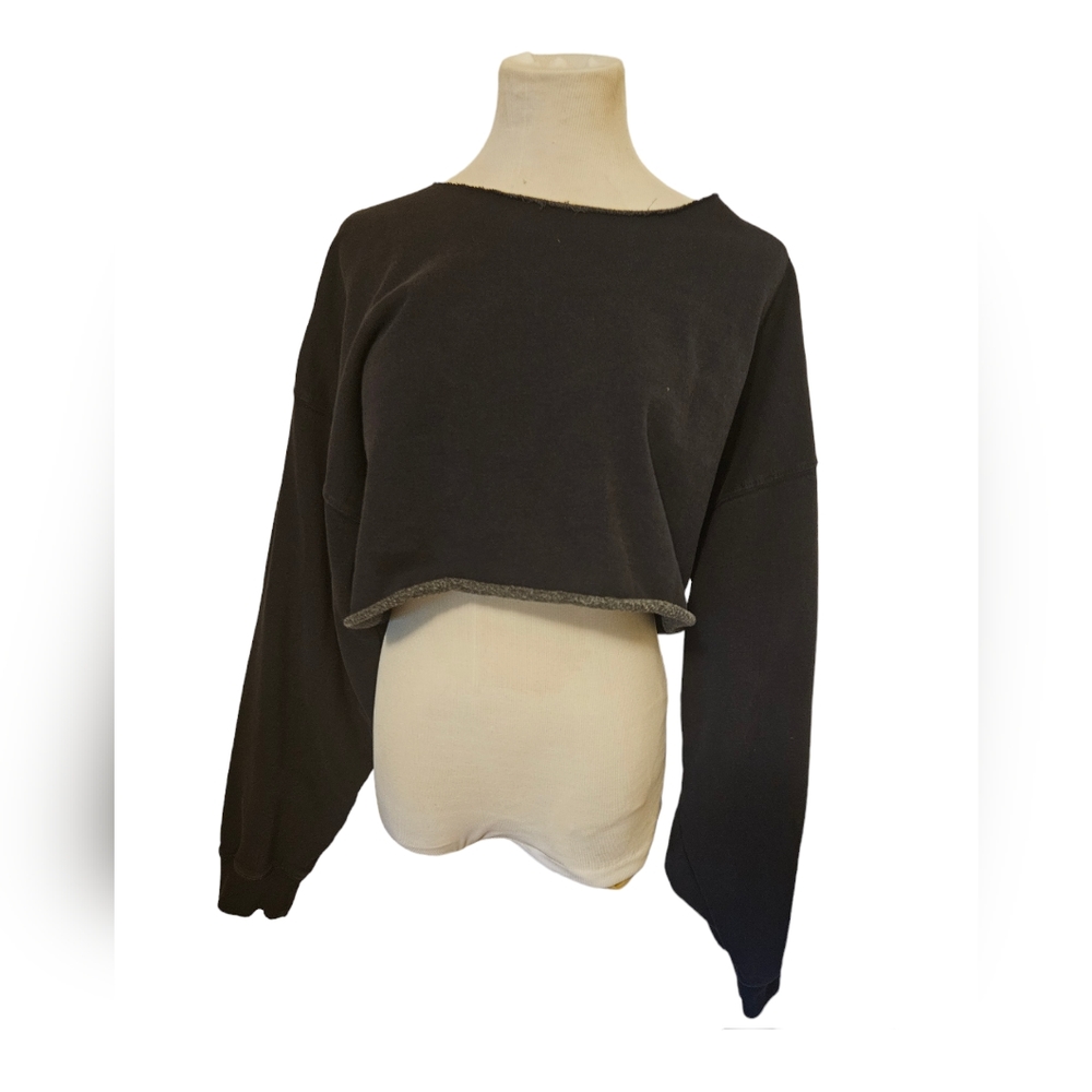 Blue Brandy Melville Cameron Cropped Sweater